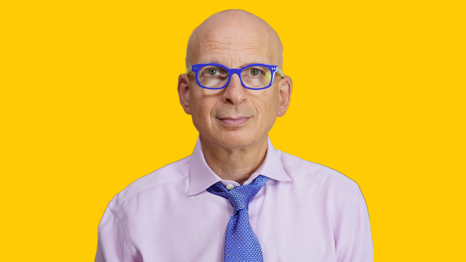 Quote of the Month  |  Seth Godin on AI