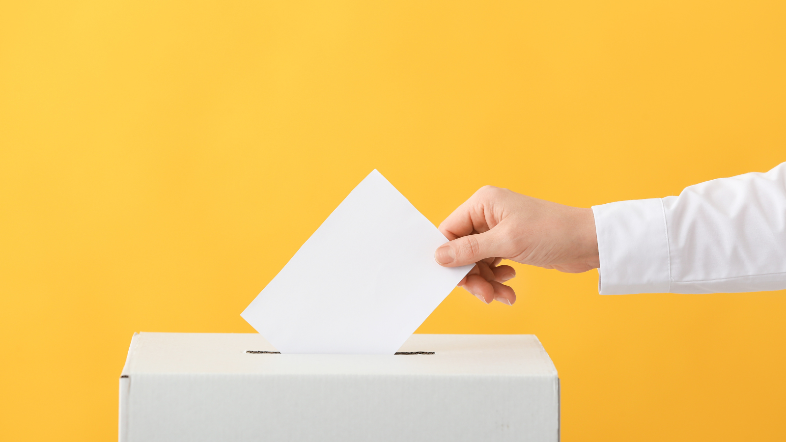 Election Integrity
