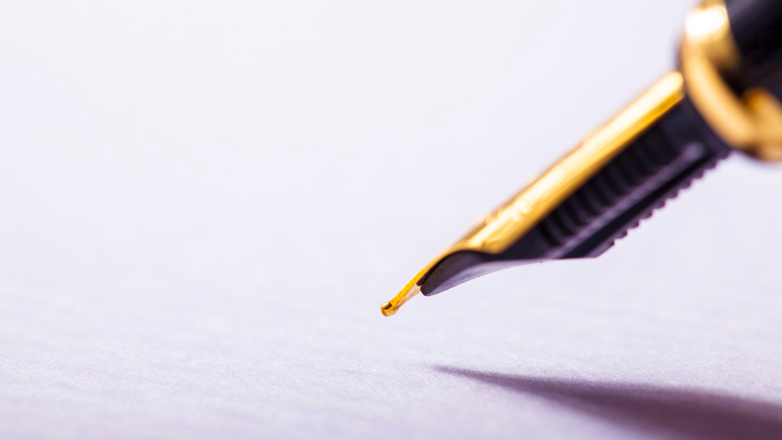 Write or Speak Your History