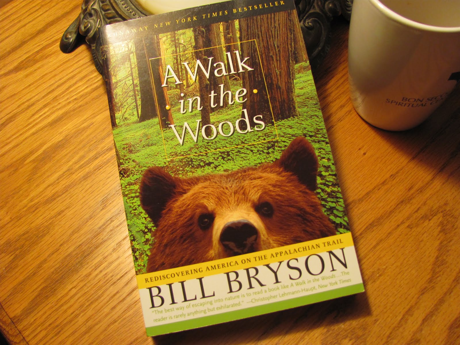 A Walk in the Woods
