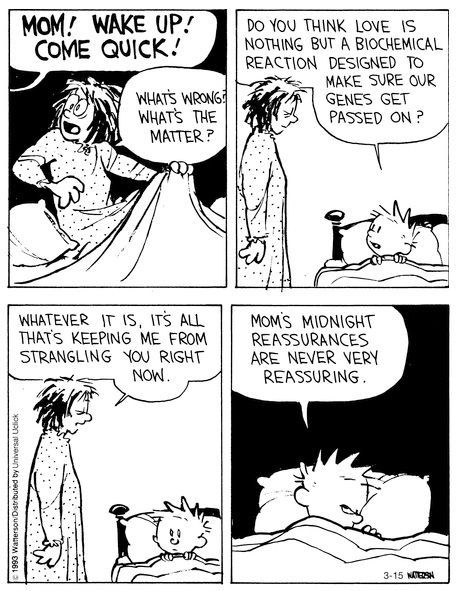 Midnight Reassurances