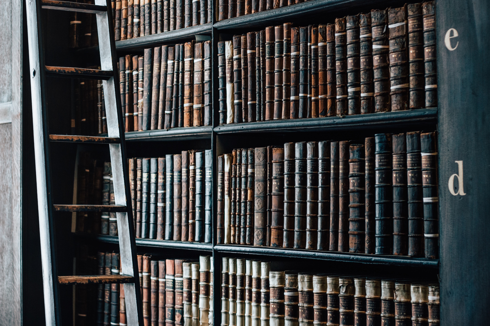 “IQ, EQ and… LQ?” by Tim McCarthy