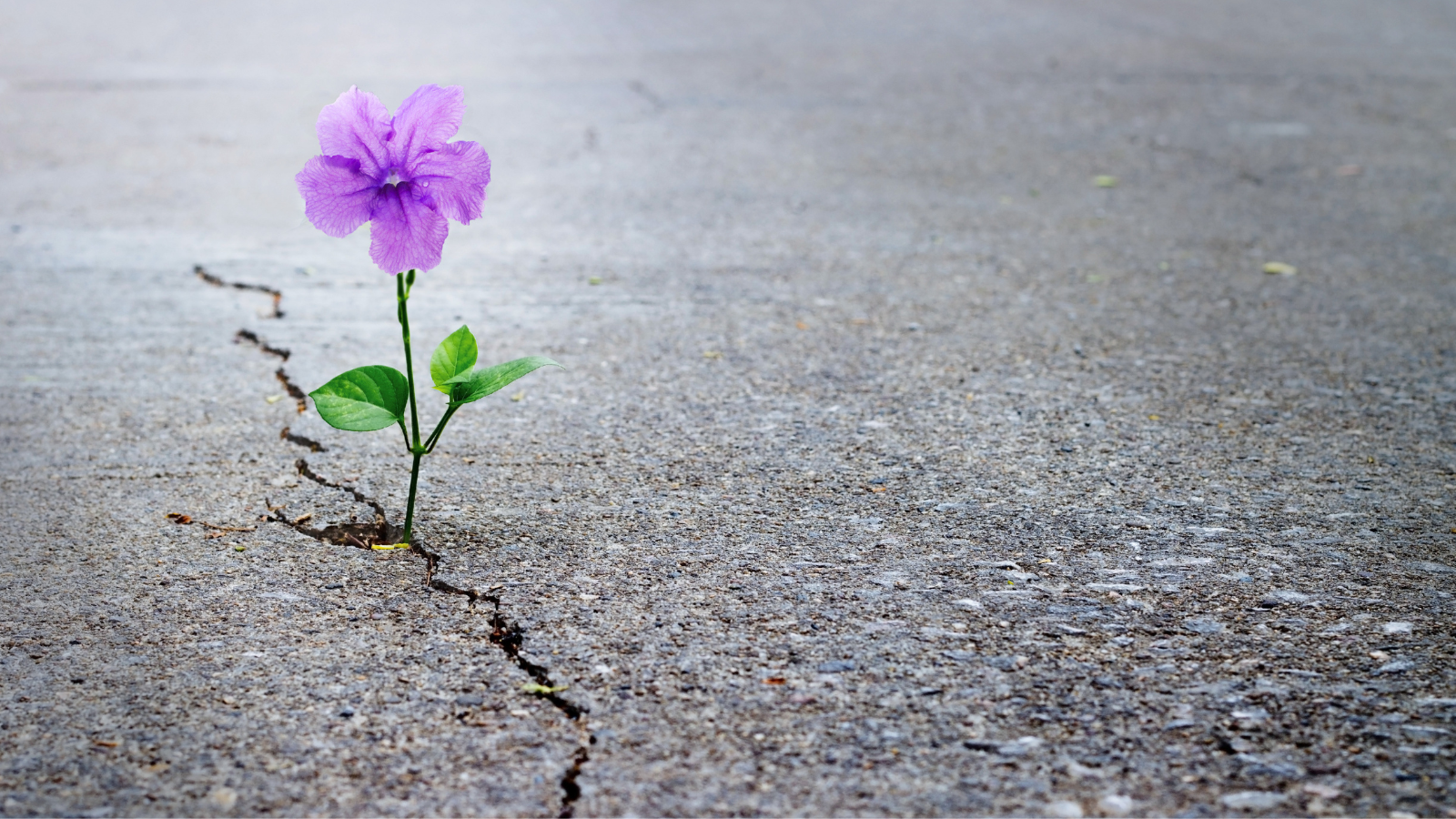 Are We Growing Gracefully?