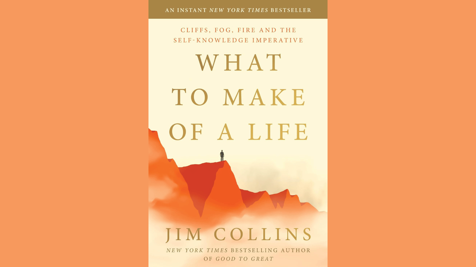 What to Make of a Life