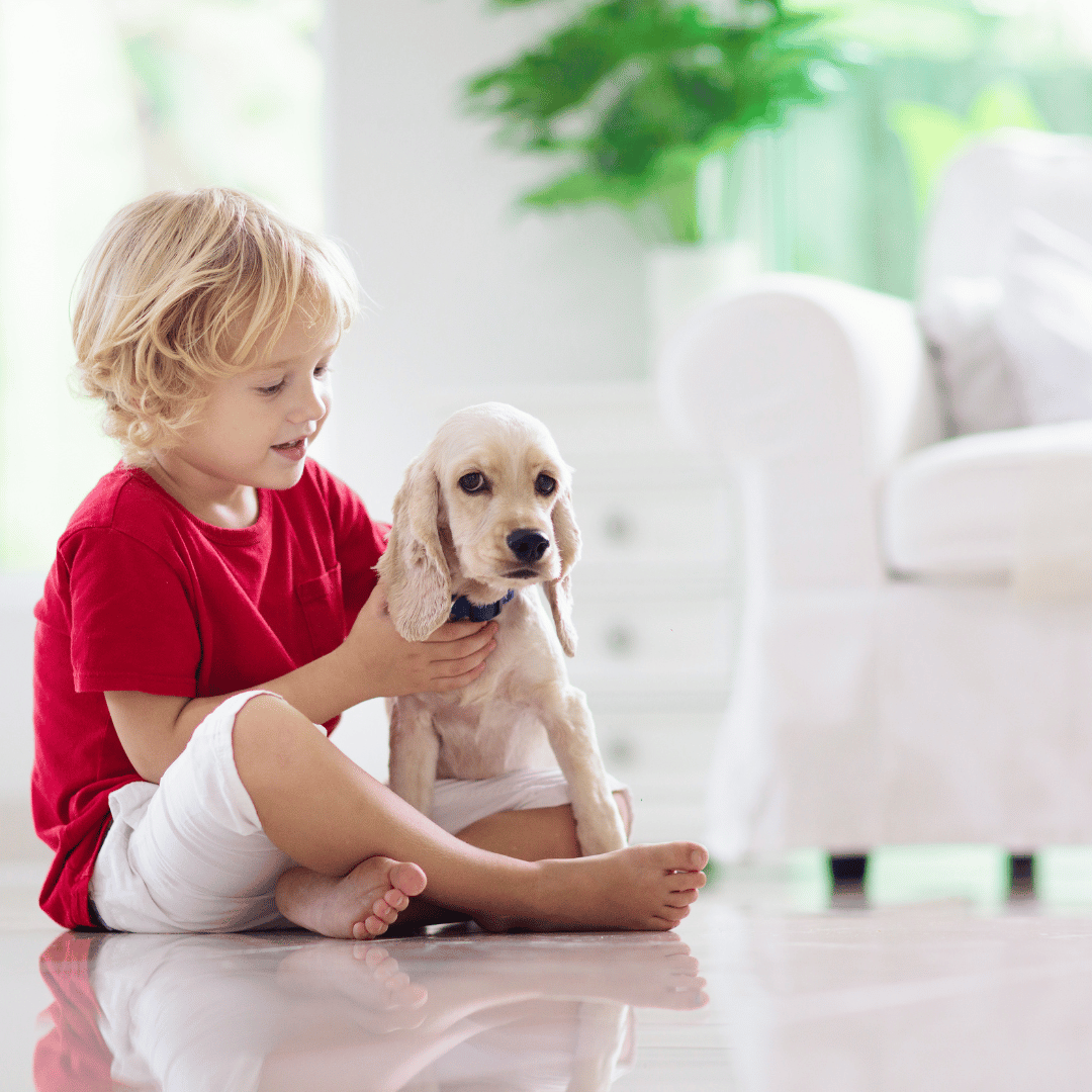 Truly Funny | Lost in Translation: Toddler Edition